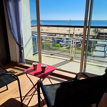 Bel 2 - Face - 5 Personnes, Wifi, Animaux Admis, Parking - Fr-1-323-457 * Saint-Jean-de-Monts