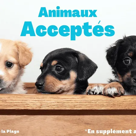 公寓 Bel 2 - Face - 5 Personnes, Wifi, Animaux Admis, Parking - Fr-1-323-457 *